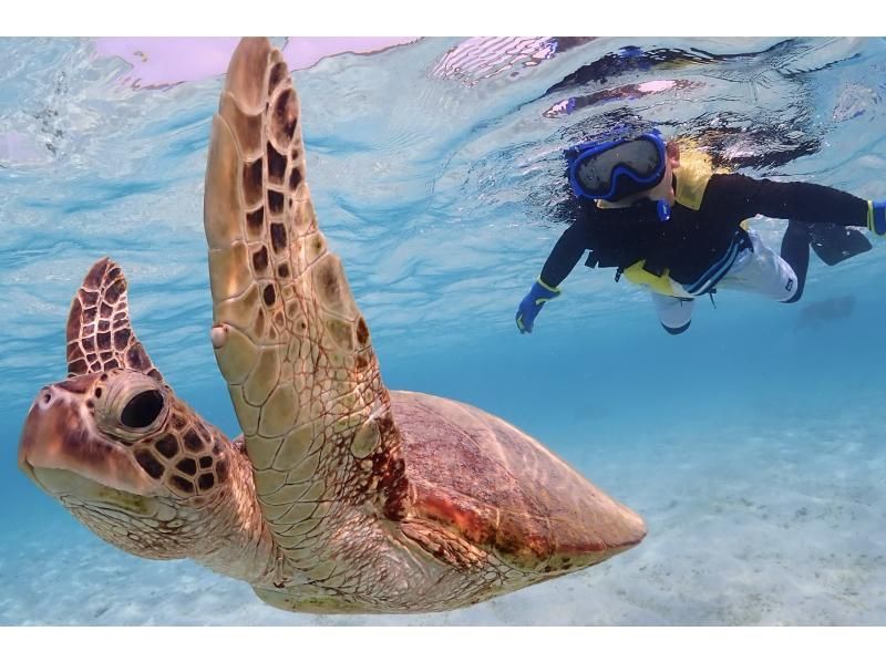 SALE! [Miyakojima/Private/Early Morning] The ultimate morning activity! Sunrise SUP & Private Sea Turtle Snorkeling ★Limited to one group per day! ★Free photo data!の紹介画像