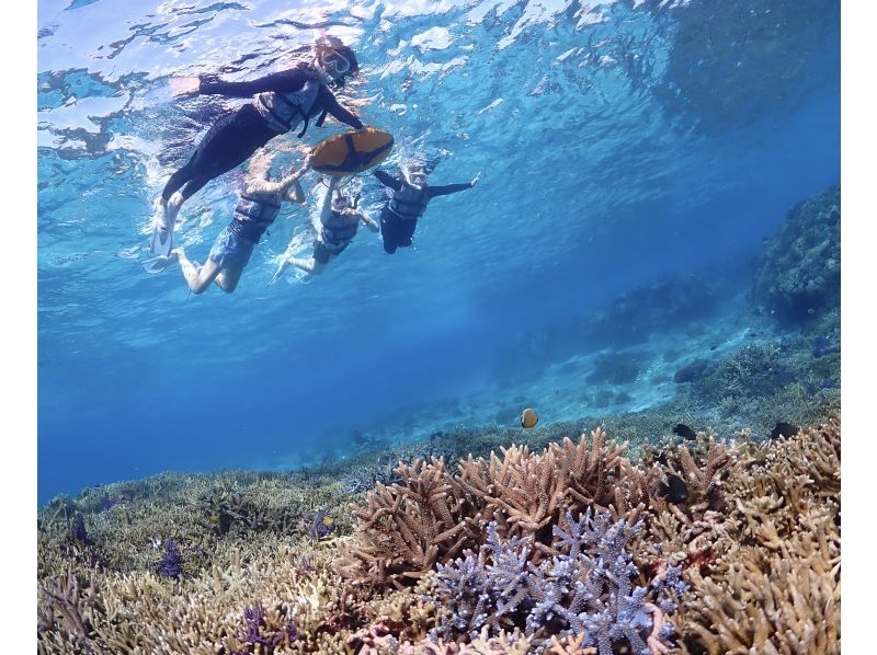 SALE! [Miyakojima/Private/Early Morning] The ultimate morning activity! Sunrise SUP & Private Sea Turtle Snorkeling ★Limited to one group per day! ★Free photo data!の紹介画像