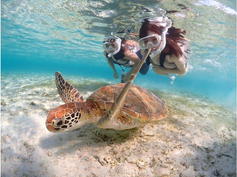 SALE! [Miyakojima/Private/Early Morning] The ultimate morning activity! Sunrise SUP & Private Sea Turtle Snorkeling ★Limited to one group per day! ★Free photo data!の紹介画像