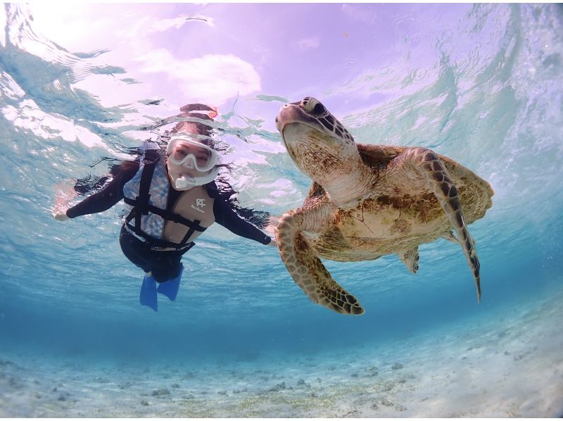 Miyakojima "The ultimate morning activity!" 100% encounter rate continues!! [Sunrise SUP & Sea Turtle Snorkeling] ★Limited to one group per day! ★Free photo data! ★Beginners welcomeの紹介画像