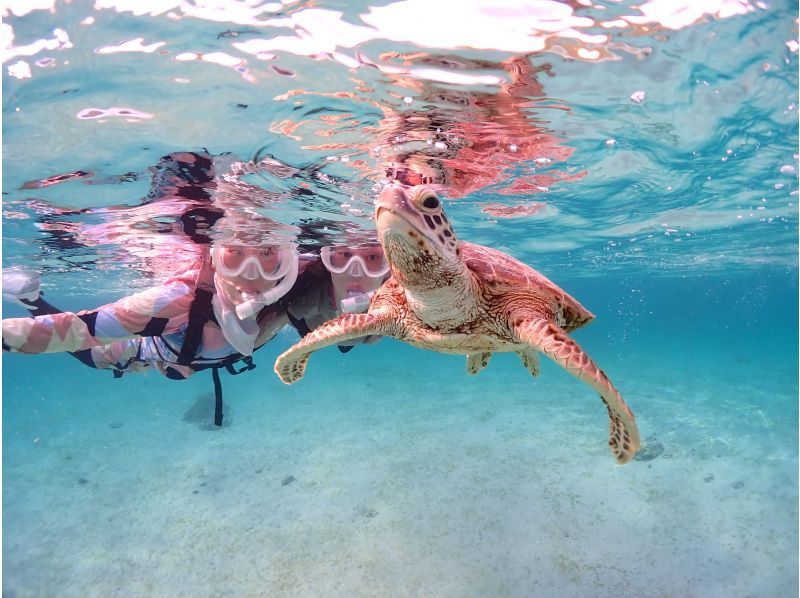[Miyakojima/Private/Early Morning] 《The ultimate morning activity!》 Sunrise SUP & Private Sea Turtle Snorkeling ★Limited to one group per day! ★Free photo dataの紹介画像