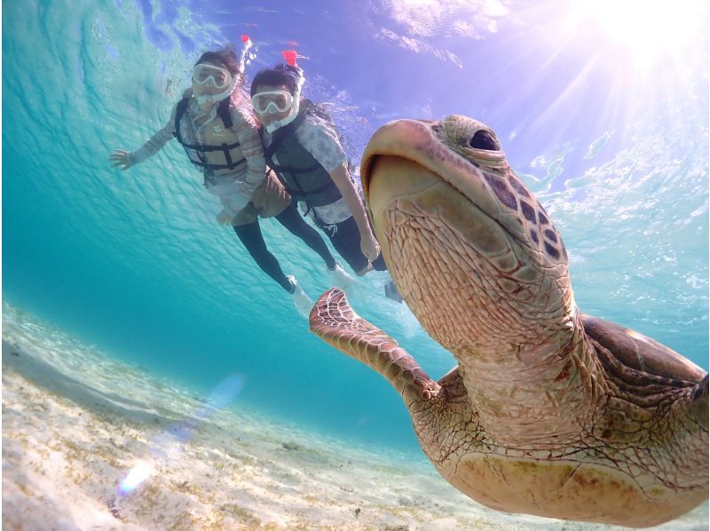 SALE! [Miyakojima/Private/Evening] {Enjoy Miyakojima} Sunset SUP & Private Sea Turtle Snorkeling ★Limited to one group per day★Free photo data!の紹介画像