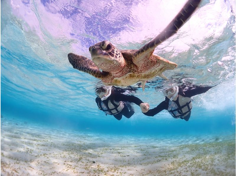 Miyakojima/Private/Evening〈Miyakojima Full Enjoyment Plan★〉Sunset SUP & Private Sea Turtle Snorkeling☆Limited to one group per day☆Free photos and video dataの紹介画像