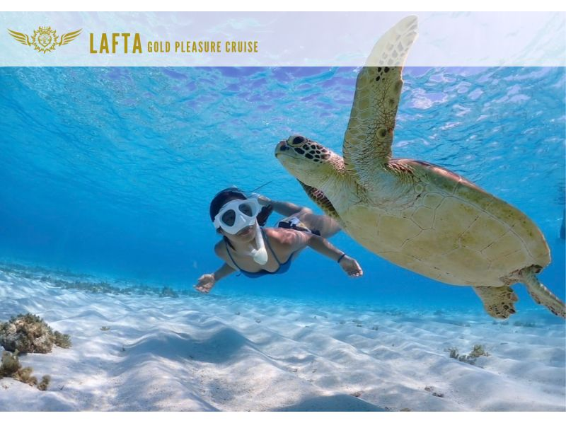 【沖縄・宮古島】豪華船チャーター、プライベート（シュノーケル+釣り）ツアー！最高の思い出作りに♪【ドリンク付き・写真プレゼント♪】の紹介画像