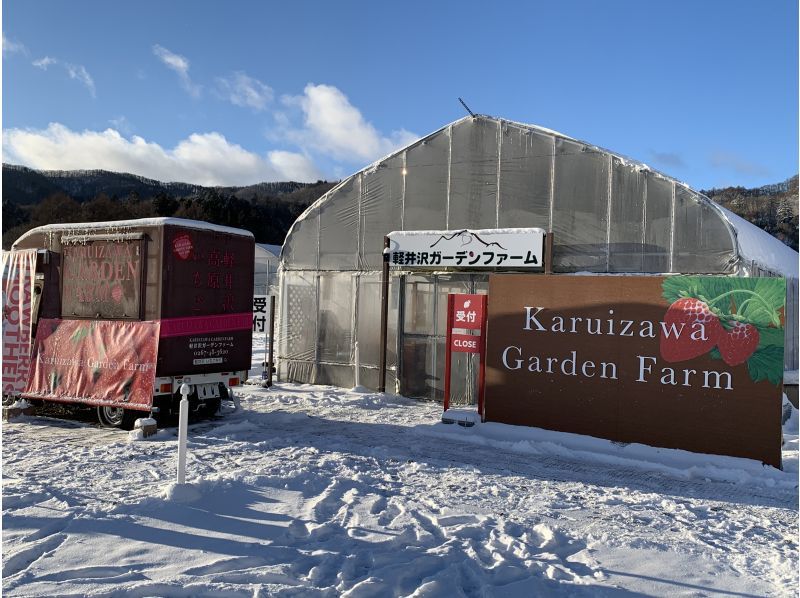 [Nagano/Karuizawa] Winter/spring strawberry picking★Standard all-you-can-eat course★30 minutes all-you-can-eat☆Free refills of condensed milk! Special strawberries that won prizes at the <National Strawberry Championship>!の紹介画像