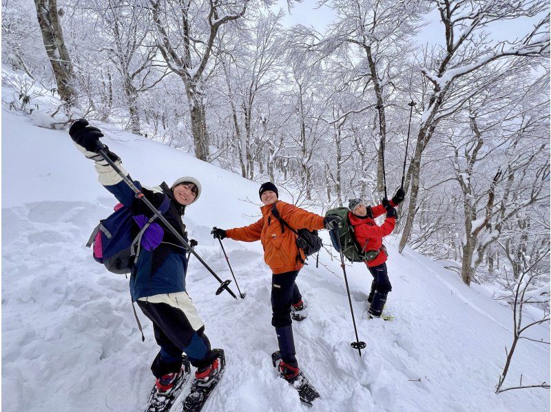 【山形・蔵王】氷瀑スノートレッキング 山形の冬の絶景を歩く！映画のような氷の世界へ☆ガイド同行＆専門装備レンタル付きの紹介画像