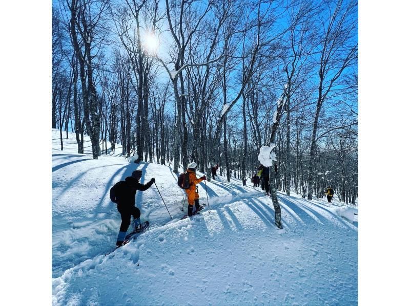 [Yamagata/Zao] Icefall tour Yamagata's spectacular snow trekking! Enter the world of ice like in the movies ☆ Guide accompanying and equipment rental available, even beginners of snowy mountains can participate!の紹介画像