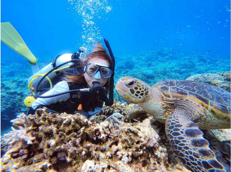 Departing from Naha, Kerama Michelin Area, 1 day/trial diving, 2 dives and snorkeling★No. 1 reviews in AJ/Naha area in 2023★Visiting 3 locations★Non-smoking boat★の紹介画像