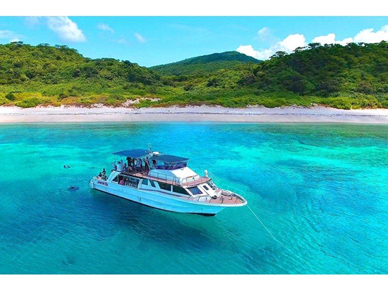 Departing from Naha, Kerama Michelin Area, 1 day/trial diving, 2 dives and snorkeling★No. 1 reviews in AJ/Naha area in 2023★Visiting 3 locations★Non-smoking boat★の紹介画像