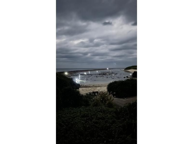 【鹿児島・与論島】1日1組夜限定ツアー干潮の限られた時間にしか行けない珊瑚見学ナイトツアーの紹介画像