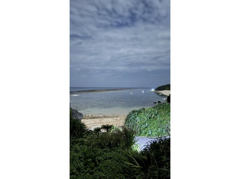 【鹿児島・与論島】1日1組夜限定ツアー干潮の限られた時間にしか行けない珊瑚見学ナイトツアーの紹介画像
