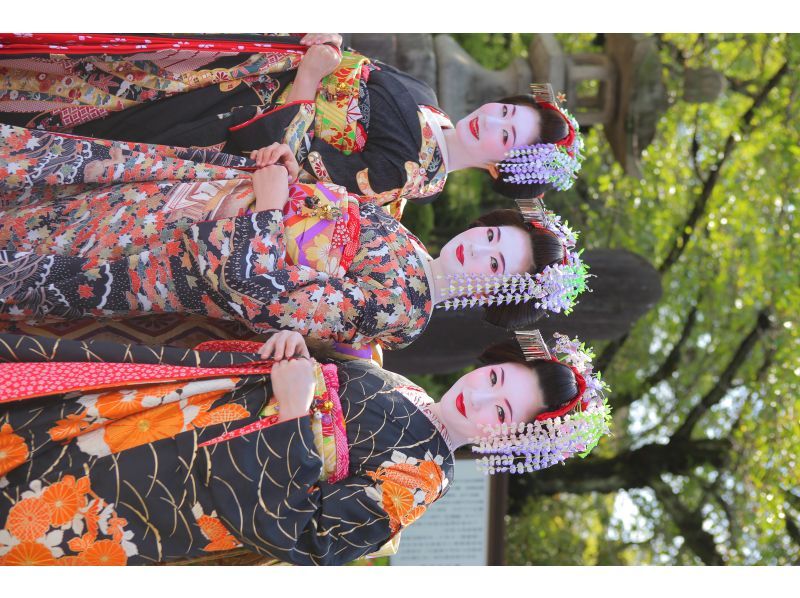 【京都清水寺】限時優惠：團體可享舞妓漫步特惠，僅需8,200日圓（不含稅），原價22,000日圓。 の紹介画像