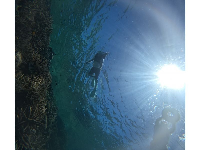 World's most miraculous coral reefs Yabiji Irabu Ikema snorkel tourの紹介画像