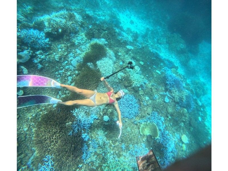 World's most miraculous coral reefs Yabiji Irabu Ikema snorkel tourの紹介画像
