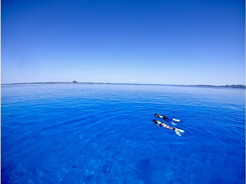 【本部町・体験ダイビング(2ダイブ)】たっぷり満喫・満足度◎ウミガメ遭遇率高め！サンゴ礁＆熱帯魚と泳ぐ感動体験♪ (写真無料)の紹介画像