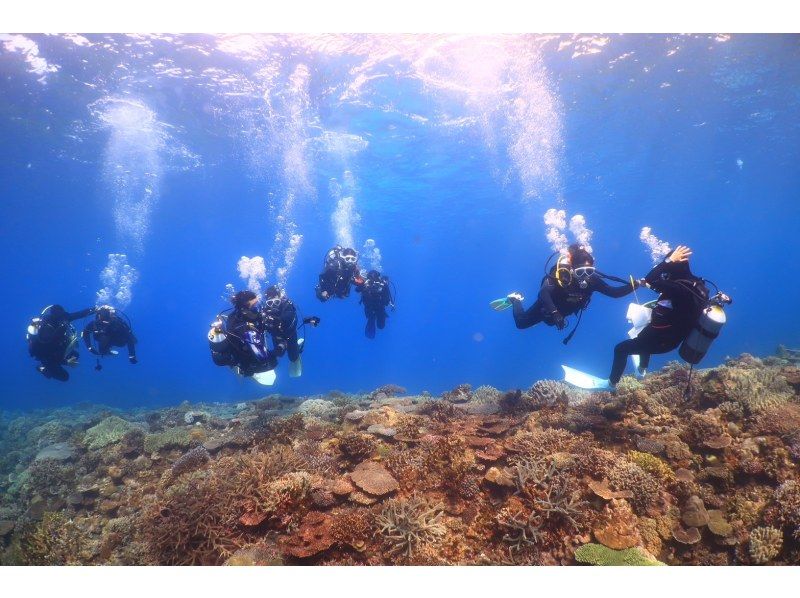 【本部町・体験ダイビング(2ダイブ)】たっぷり満喫・満足度◎ウミガメ遭遇率高め！サンゴ礁＆熱帯魚と泳ぐ感動体験♪ (写真無料)の紹介画像