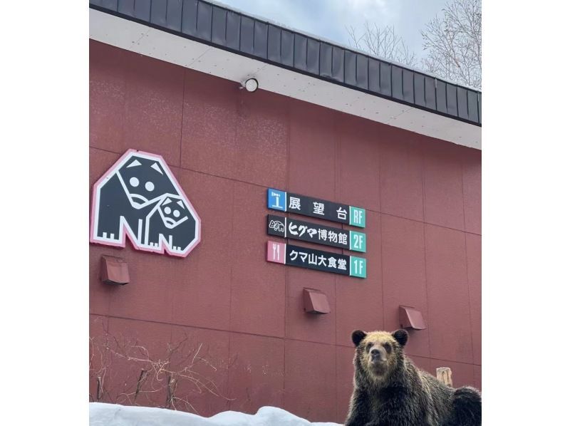 销售！ [北海道登别市] 专职司机观光租车定制10小时一日游の紹介画像