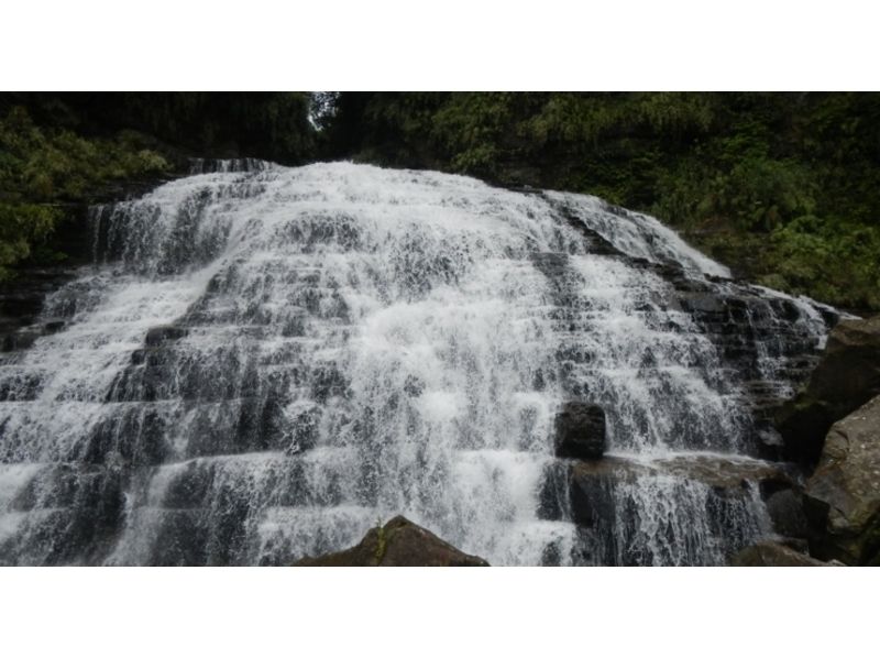 [冲绳-Iriomote Island]让我们去看看像窗帘一样流淌的美妙瀑布！ [皮艇·1日徒步旅行】の紹介画像