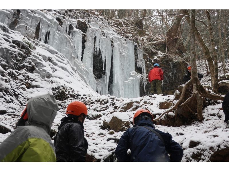 【奈良・大峰山脈】関西随一の氷瀑は私有地に！！特別拝観！？の紹介画像