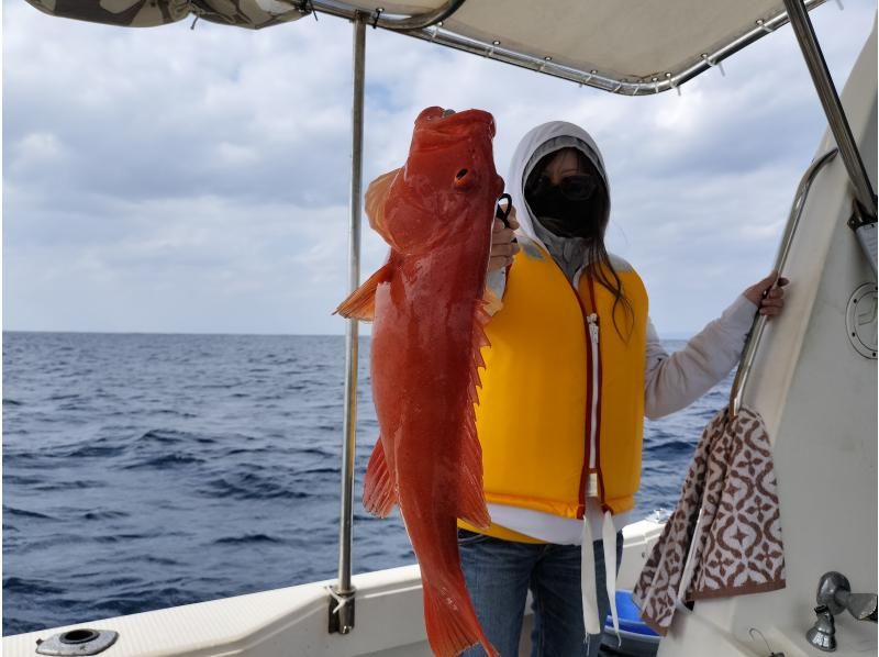[Okinawa, Itoman City] 3 hours of Tenya fishing on a cruiser! / Aiming for big fish such as red porgy and 50 cm or more / Beginners welcome / Equipment included / Pick-up available / Restaurant introductionの紹介画像