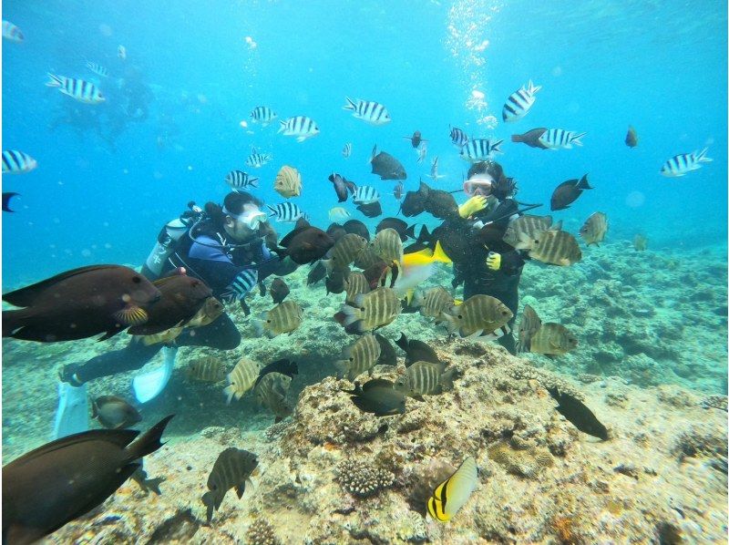 【沖縄・青の洞窟・貸切体験ダイビング&読谷村・シーカヤック】初心者歓迎♪体験ダイビング☆シーカヤック体験の紹介画像