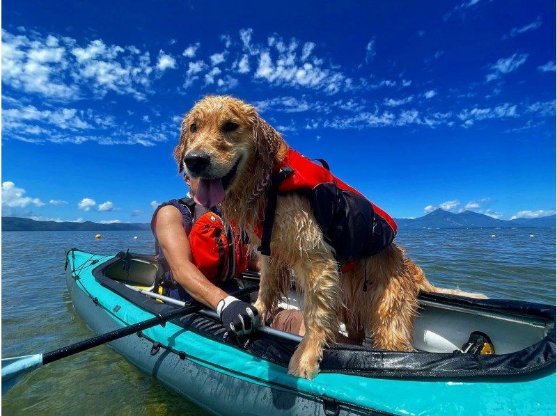 【みなかみ／群馬】かぬ～っこ　お花見・新緑カヌーツアー（半日）3歳から乗れる！ツアー中の写真無料！愛犬も乗れる！の紹介画像