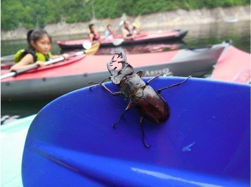 [Minakami/Gunma] Kanukko - Suitable for ages 3 and up! A leisurely canoe tour on the lake (half day) - Free photos taken during the tour!の紹介画像