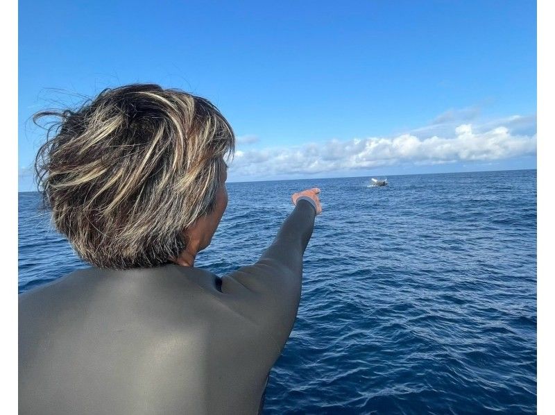 【沖縄本島・宜野湾発】ホエールスイム&ウォッチング⭐️写真、動画その場でプレゼント⭐️器材レンタル込⭐️ライセンス必須⭐️1,2,3月限定の紹介画像