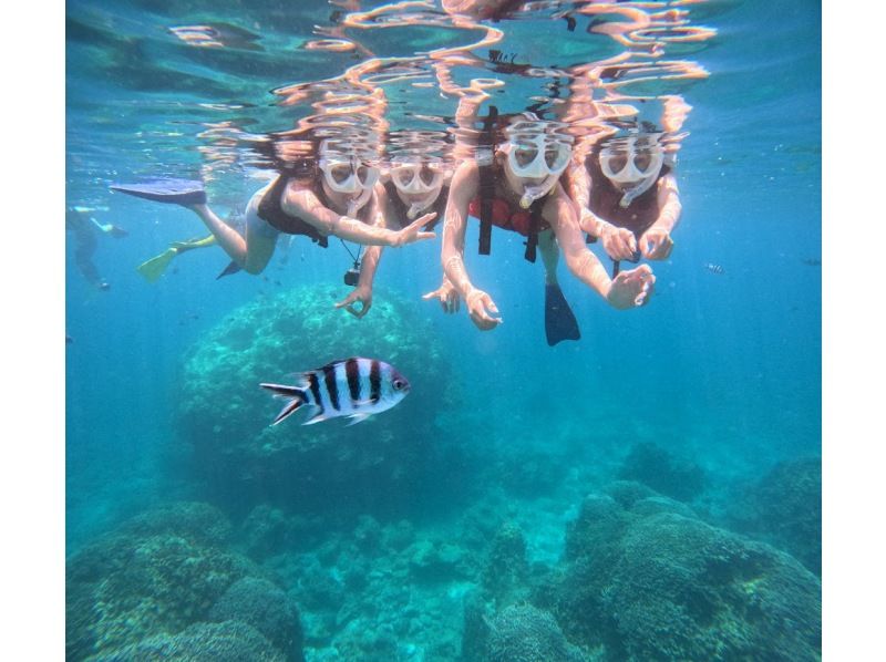 冬季割！【石垣島・午後】泳げなくもOKウミガメシュノーケル遭遇率95%【写真無料】の紹介画像