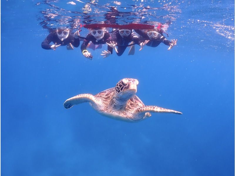【石垣島・午前、午後\2便・3時間】泳ぎが苦手な方でもOK｜ウミガメorマンタシュノーケル＆幻の島上陸【写真無料】の紹介画像