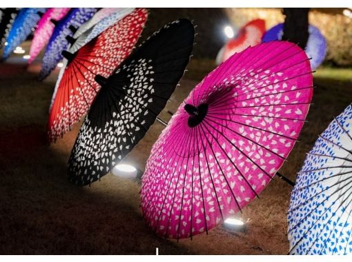 Shizuoka/Mt. Fuji] Limited time event on March 23rd! 2024