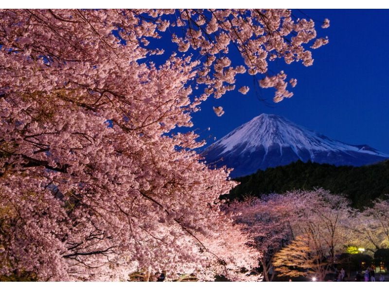 [Shizuoka/Mt. Fuji] Limited time event on March 23rd! 2024 Fuji LED Lantern Festival Admission Ticketの紹介画像