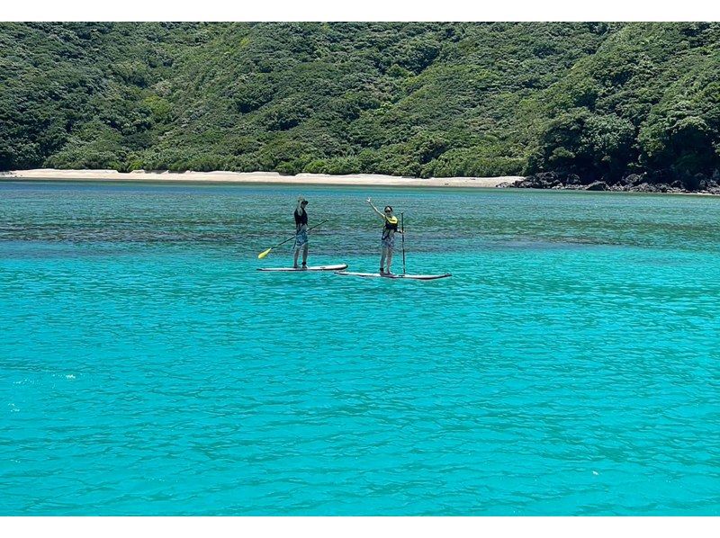 [คาโกชิมา/อามามิโอชิมะ] กิจกรรมทางทะเล ~ “เดินบนทะเลด้วย SUP” เล่นทะเลง่าย ๆ สำหรับทั้งครอบครัว! มามือเปล่าไม่เป็นไร!の紹介画像