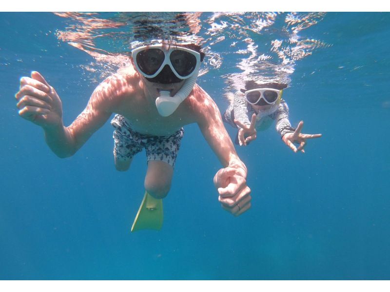 [鹿兒島/奄美大島]海上活動〜“船浮潛”與家人一起在無人海灘上輕鬆享受大海！空手來也沒關係！の紹介画像