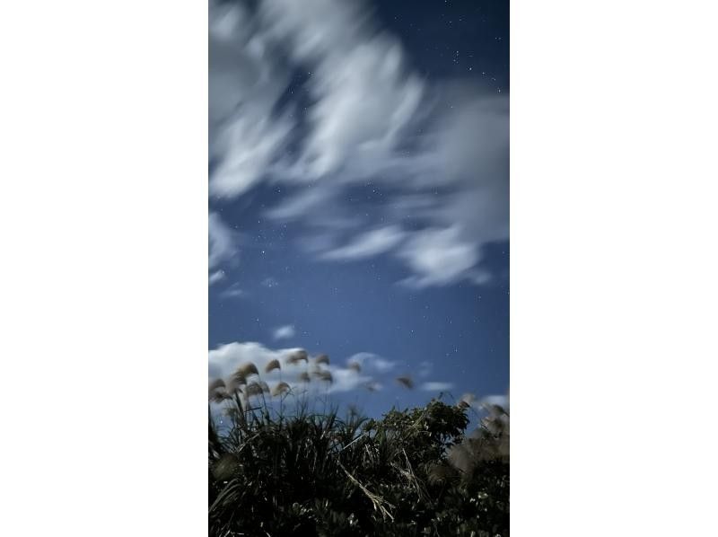 【鹿児島・与論島】ナイトツアー与論島の夜の観光スポット巡り20、30代女性に人気の紹介画像