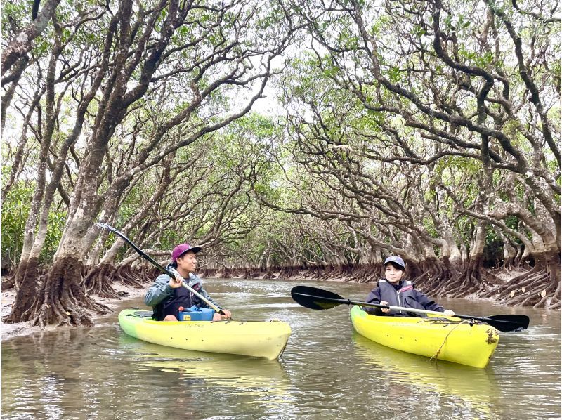 [Student-only plan] 100-minute mangrove canoe tour of Amami Oshima! We'll show you the mangrove tunnels and tidal flats! A young certified guide will accompany you!の紹介画像