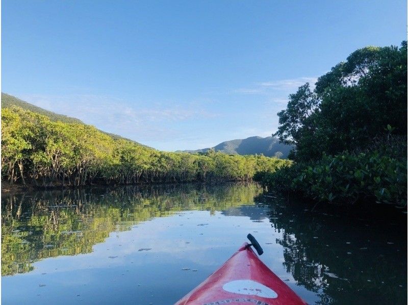 [Student-only plan] 100-minute mangrove canoe tour of Amami Oshima! We'll show you the mangrove tunnels and tidal flats! A young certified guide will accompany you!の紹介画像