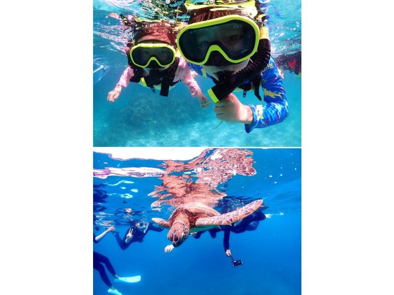 【石垣島・7時間】泳ぎが苦手な方でもOK｜初心者向け｜幻の島上陸&ウミガメorマンタシュノーケル｜1日たっぷり石垣島の海を満喫【写真無料】の紹介画像