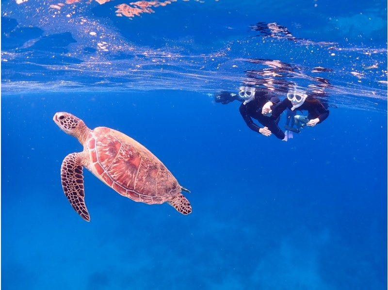 【石垣島・1日】ウミガメシュノーケルで贅沢なひとときープレミアムプラン【最新機種で撮影無料】