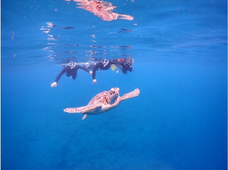 冬季割！【石垣島・1日】＜ボート＞幻の島&ウミガメシュノーケル&石西礁湖エリア【写真無料】の紹介画像