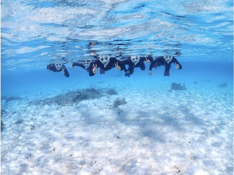 【石垣島・7時間】1日たっぷり海あそび｜幻の島上陸＆ウミガメ遭遇率99%！｜初心者OK【写真無料】の紹介画像