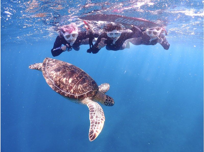 【石垣島・7時間】1日たっぷり海あそび｜幻の島上陸＆ウミガメ遭遇率99%！｜初心者OK【写真無料】の紹介画像