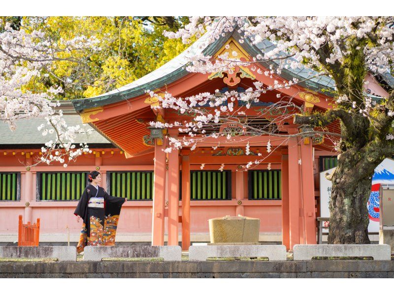 【静岡・富士宮】本格的な正絹の振袖レンタル〜富士山を眺めながら浅間神社の総本宮・富士山本宮浅間大社散策！男性着物レンタル追加可能の紹介画像