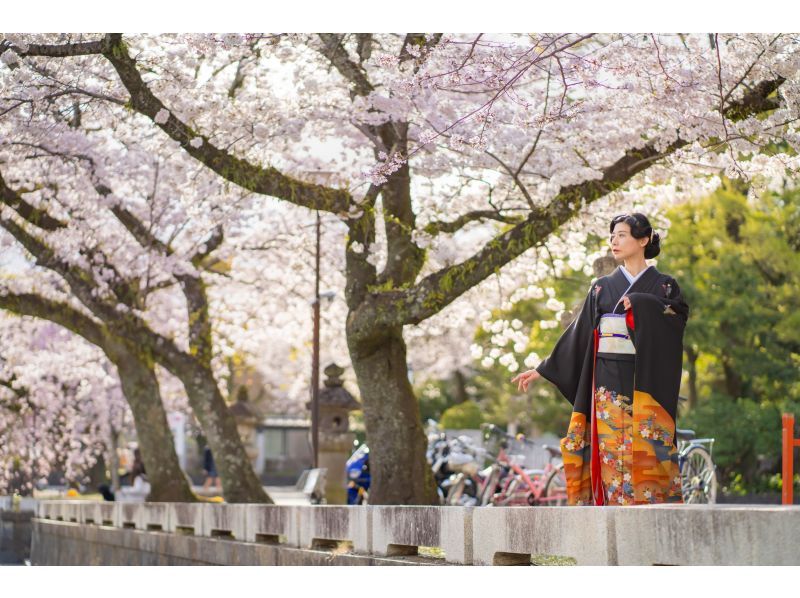 【静岡・富士宮】本格的な正絹の振袖レンタル〜富士山を眺めながら浅間神社の総本宮・富士山本宮浅間大社散策！男性着物レンタル追加可能の紹介画像