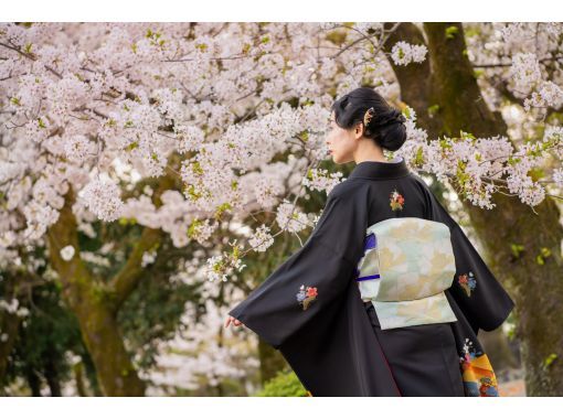 ファンデーション kimono4 Shizuoka/Fujinomiya] Authentic pure silk long-sleeved kimono