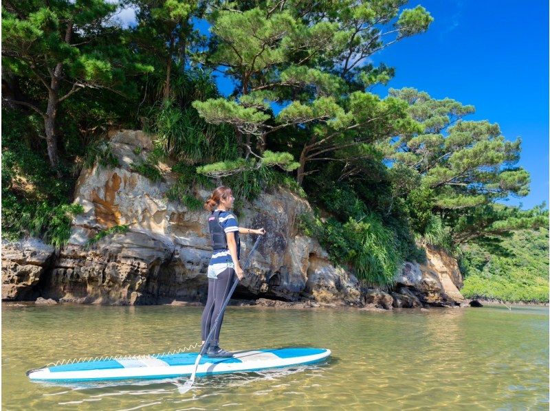 [Iriomote Island/1 day] Enjoy the World Heritage Site! Enjoy two rivers at Mizuochi Falls & mangrove SUP/canoeing! [Free photo data]の紹介画像