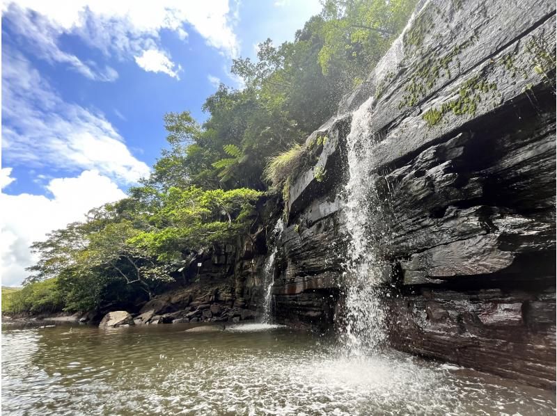 [Iriomote Island/1 day] Enjoy the World Heritage Site! Enjoy two rivers at Mizuochi Falls & mangrove SUP/canoeing! [Free photo data]の紹介画像