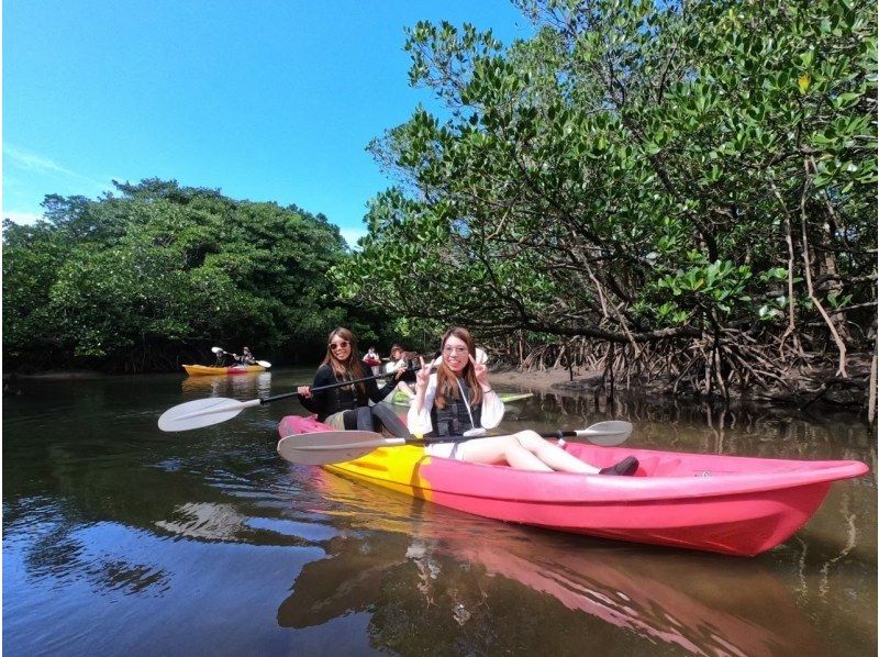 [西表島/1天] 暢遊世界遺產！享受水落瀑布的兩條河流和紅樹林 SUP/獨木舟！ [免費照片資料]の紹介画像