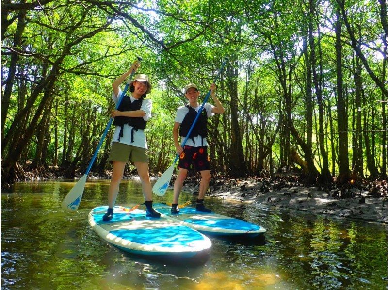 【沖縄・西表島】世界遺産を満喫！2つの川を楽しむ「サンガラの滝」・マングローブSUP/カヌー1日ツアー！写真データ無料