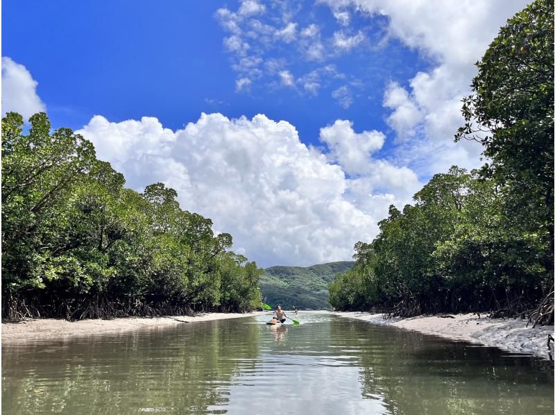 [Iriomote Island/1 day] Enjoy the World Heritage Site! Enjoy two rivers at Mizuochi Falls & mangrove SUP/canoeing! [Free photo data]の紹介画像